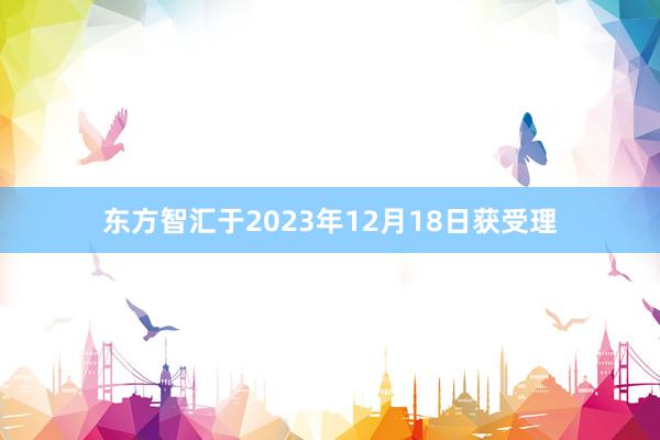 东方智汇于2023年12月18日获受理